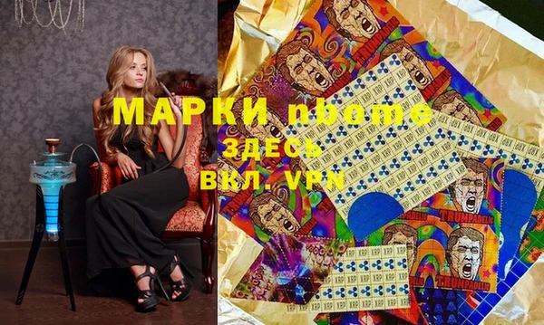 прущие грибы Алзамай