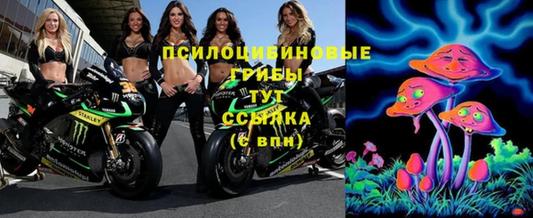 прущие грибы Алзамай