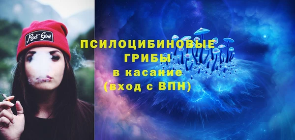 твердый Аркадак