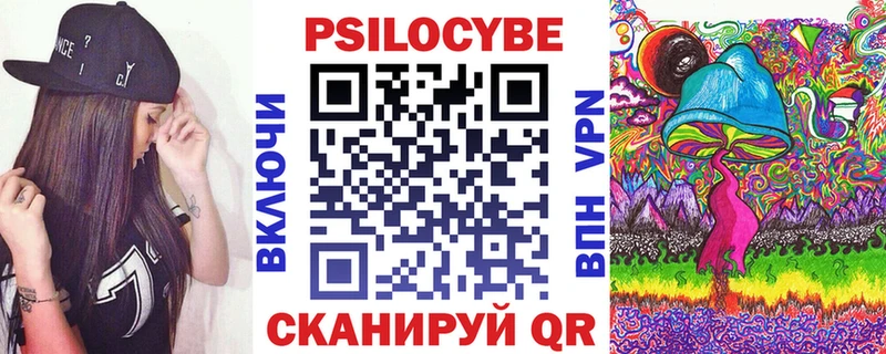 Галлюциногенные грибы Psilocybe Майкоп