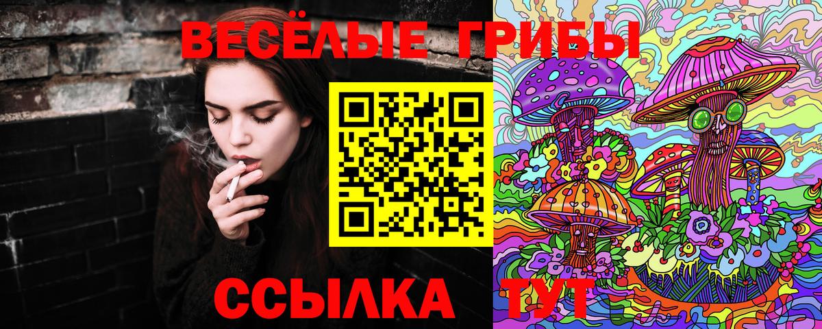 Псилоцибиновые грибы Magic Shrooms  Вход с VPN  Майкоп 