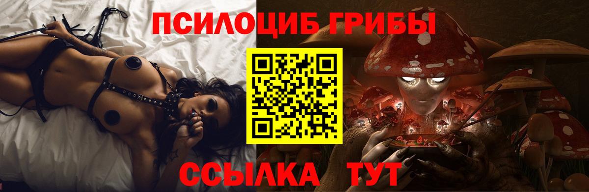 Псилоцибиновые грибы Cubensis Майкоп