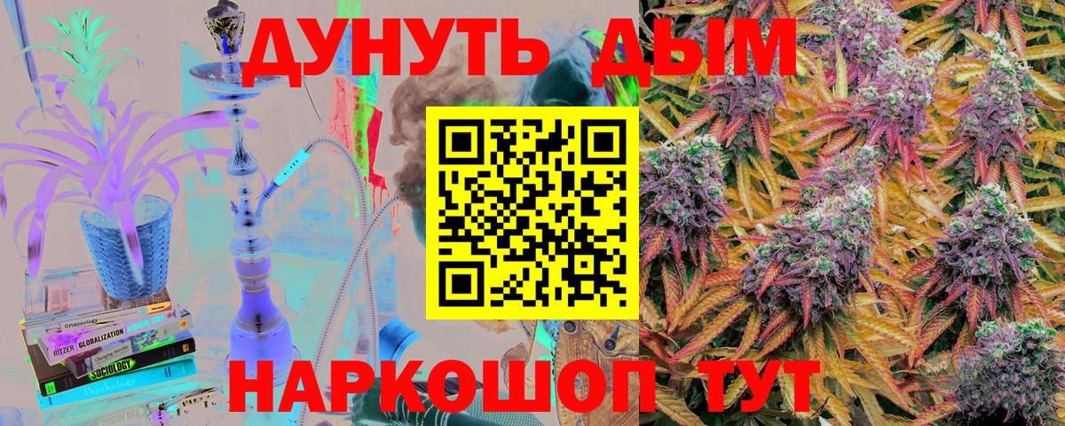Канабис планчик Майкоп